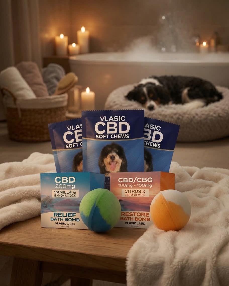 Wags & Wellness Bundle