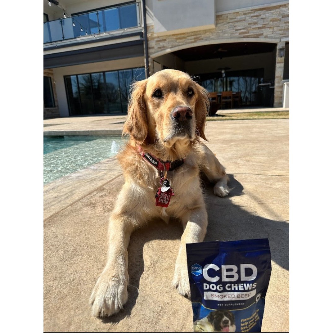 CBD Dog Chews