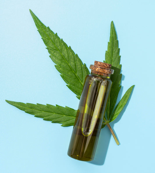 How Does CBD Absorb Through the Skin