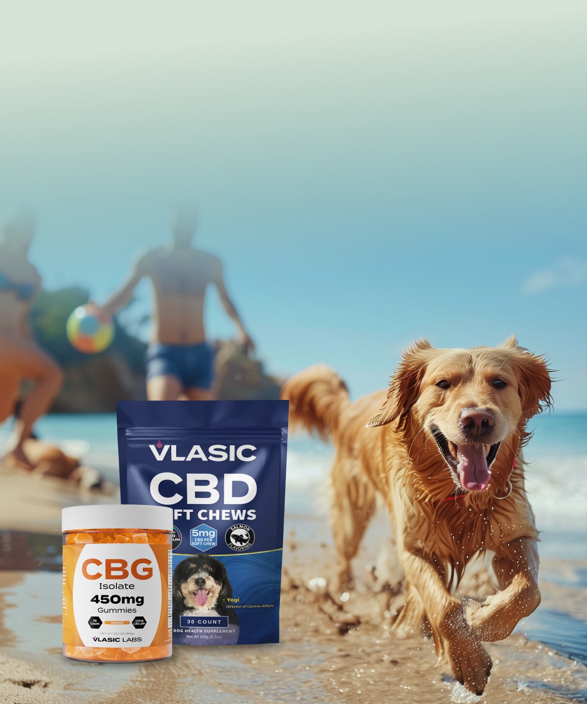 Hemp Wellness Products | CBD Shop | Vlasic Labs