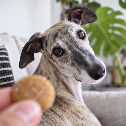 Calming Beef Flavored Dog Chews
