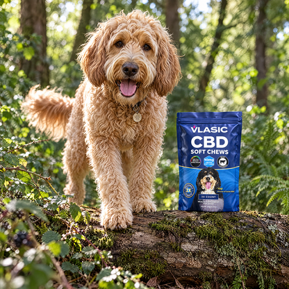 Calming Beef Flavored Dog Chews