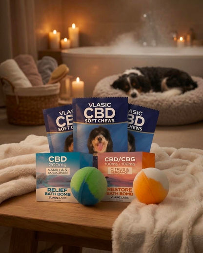 Wags & Wellness Bundle