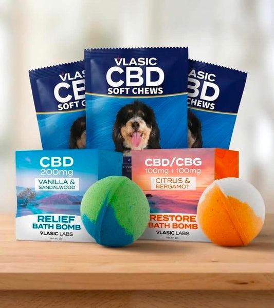 Wags & Wellness Bundle